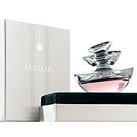 История аромата Guerlain Insolence