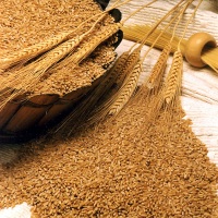 питательные вещества в пророщенной пшенице