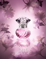 Jill Stuart представил новый аромат Night Jewel Summer Bloom