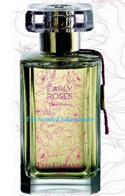 Магия цветочного сада в парфюме Early Roses от Teo Cabanel