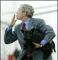 Джордж Буш-мл и Барни
