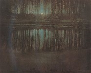 The Pond – Moonlight 