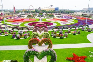 Мир цветов Dubai Miracle Garden