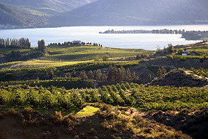 На озере Челан в США развивается винный туризм