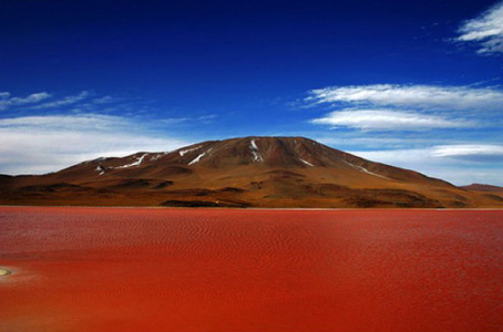 самые необычные озера мира Laguna Colorado