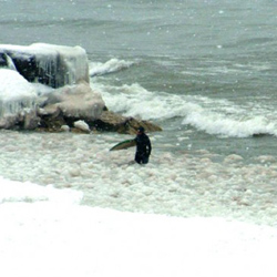 самые необычные озера мира Lake Superior