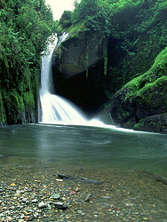 Коста-Рика: рай для экотуризма