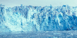 Ледник «Колумбия», Аляска
