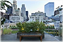 сады на нью-йоркских крышах