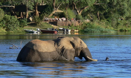 национальные парки Центральной Африки Южная Луангва Замбия