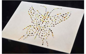 «Бабочка мира» из редчайших бриллиантов выставлена в Нью-Йорке