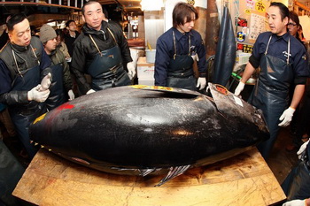 В Токио продан красный тунец за 122 000 евро 