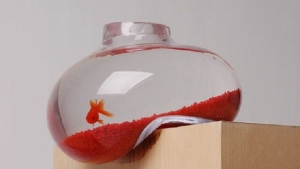 Bubble Tank: самый необычный аквариум из возможных