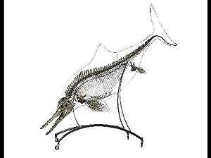 Скелет ихтиозавра ушел с молотка за 180 тысяч евро