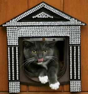 Кристаллы Swarovski украсили двери для домашних животных