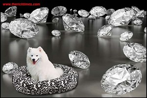 Бренд Lilly & Abbie представил серию корзинок для собак, декорированных Swarovski
