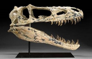 Динозавры на аукционе в Нью-Йорке
