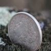 Где искать старинные монеты - основы кладоискательства
