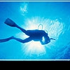 Дайвинг: все самое интересное - под водой