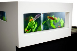 Archiquarium - роскошный аквариум Карла-Оскара Анкарберга для Trendy Goldfish