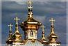 червонное золото