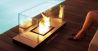 Radius Design  камин Uni Flame Fireplace