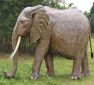 Все для сада - слон в натуральную величину за 8500 долларов